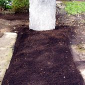 Grab mit gesetztem Grabstein – jetzt kann mit der Bepflanzung begonnen werden