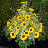 Feierhallengesteck mit Sonnenblumen