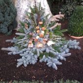 Wintergesteck mit Blautanne und Holzblüten