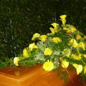 Sarggebinde mit gelben Calla und Gerbera