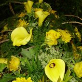 Sarggebinde mit gelben Calla und Gerbera