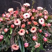 Sarggebinde mit lachsfarbenen Gerbera, Rosen, Wurzeln, Rinde und Efeu