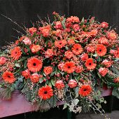 Sarggebinde mit orangen Gerbera, Rosen und Ginster