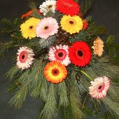 Trauergesteck mit bunten Gerbera