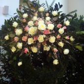 Trauerkranz mit weißen und rosa Rosen