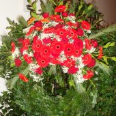 Trauerkranz mit Gerbera