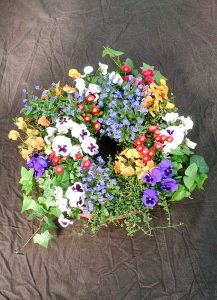 Pflanzring mit buntem Blumenmix