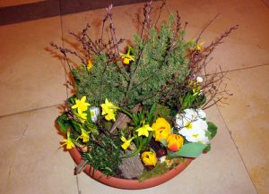 Trauerschale frühlingshaft