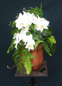 Urnenschmuck mit weißen Orchideen, Farn und Efeu