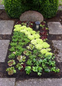 Grabstätte mit verschiedenartigem Dauergrün