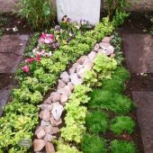 Dauergrüne Grabbepflanzung mit Moos, Euonymus und Steinen