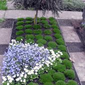 Bepflanzung mit Dauergrün, hier z. B. mit Moos