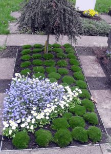 Bepflanzung mit Dauergrün, hier z. B. mit Moos