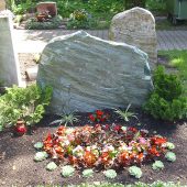 Doppelgrab im Sommer mit Echeverien, Eisbegonien und Begonien Ritschmondensis