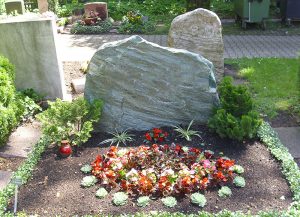 Doppelgrab im Sommer mit Echeverien, Eisbegonien und Begonien Ritschmondensis