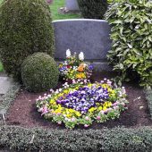 Doppelgrab mit Bepflanzung im Frühling