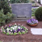 Doppelgrab mit Bepflanzung im Frühling