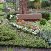 Doppelgrab mit Bepflanzung im Frühling