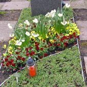 Einzelwahlgrab im Frühling