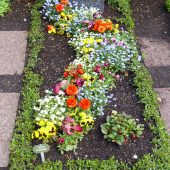 Einzelwahlgrab im Frühling