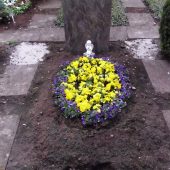 Einzelwahlgrab mit Bepflanzung im Frühling