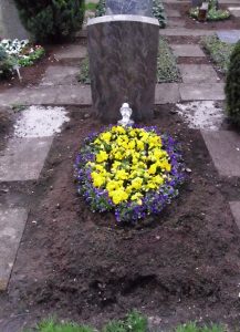 Einzelwahlgrab mit Bepflanzung im Frühling