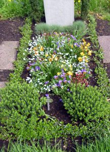 Frühlingsbepflanzung von einem Einzelgrab