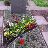 Grabbepflanzung im Frühling