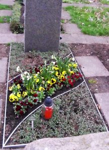 Grabbepflanzung im Frühling