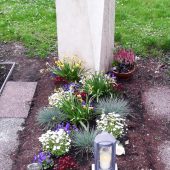 Grabbepflanzung im Frühling