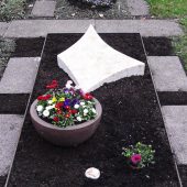 Grabbepflanzung mit Schale im Frühling