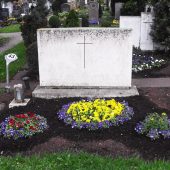 Grabbepflanzung im Frühling