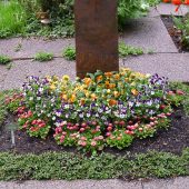 Urnengrab mit Frühlingsbepflanzung