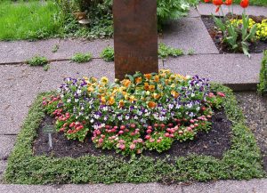 Urnengrab mit Frühlingsbepflanzung