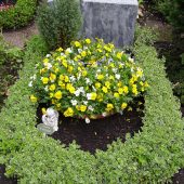 Urnengrab mit Bepflanzung im Frühling