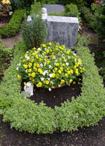 Urnengrab mit Bepflanzung im Frühling