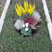 Bunte Herbstbepflanzung