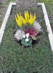 Bunte Herbstbepflanzung