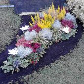 Herbstbepflanzung mit Eriken, Gräsern und Alpenveilchen