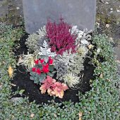 Herbstbepflanzung am Urnengrab