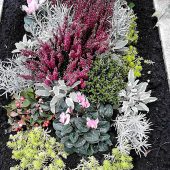 Bunte Herbstbepflanzung