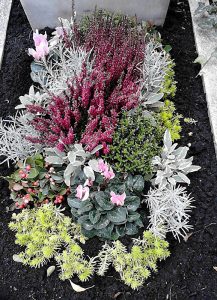 Bunte Herbstbepflanzung