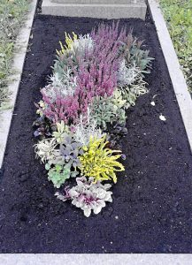 Herbstbepflanzung mit Eriken und Laubpflanzen