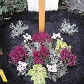Urnengrab mit Herbstbepflanzung