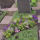 Buntes Sommerbeet mit Sanvitalien, Verbenen, Impatiens Neu-Guinea und Euphorbiengras