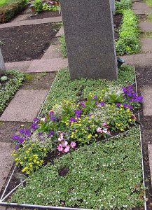 Buntes Sommerbeet mit Sanvitalien, Verbenen, Impatiens Neu-Guinea und Euphorbiengras