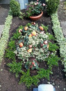 Sommerbepflanzung mit mit weißer Myrte, orangenen Knollenbegonien und weißen Euphorbien