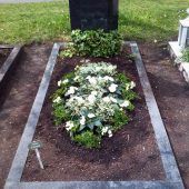 Sommerbepflanzung mit ganz in weiß mit Myrte, Eisbegonien, Impatiens Neu-Guinea und Euphorbien