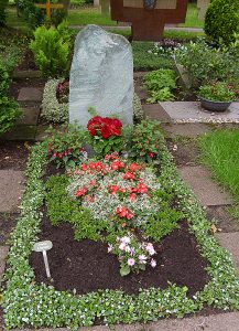 Sommerbepflanzung mit Solenia-Begonien und Euphorbiengras