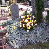 Urnengrab mit Trauergesteck, Tanne und Bäumchen, sowie Blumenkörbchen mit Blütenblättern zum Nachwerfen